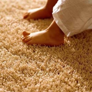 Limpieza de alfombras a domicilio en Santiago