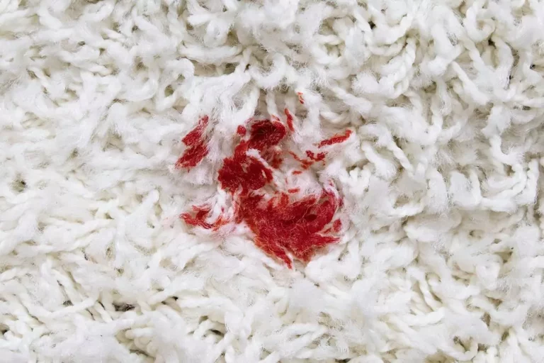 ¿Cómo quitar las manchas de sangre de la alfombra?