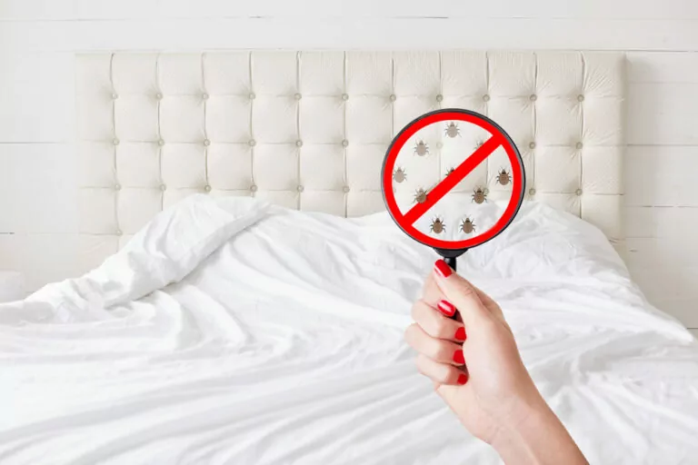 Cómo eliminar los ácaros de cama del colchón: ¡Adiós, bichitos indeseables!